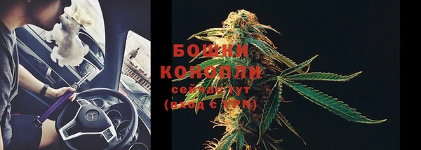 ГАЛЛЮЦИНОГЕННЫЕ ГРИБЫ Касимов