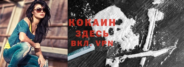 шишки Надым