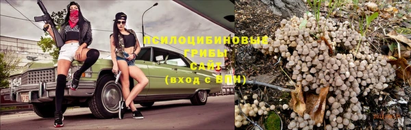 стаф Киренск