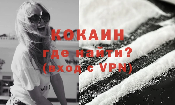 стаф Киренск
